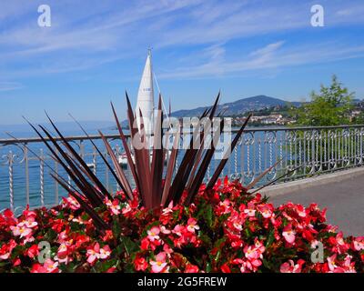 Fleurs et yacht dans la ville européenne de Montreux au lac Léman dans le canton de Vaud en Suisse, ciel bleu clair en 2017 chaude journée ensoleillée d'été le juillet. Banque D'Images