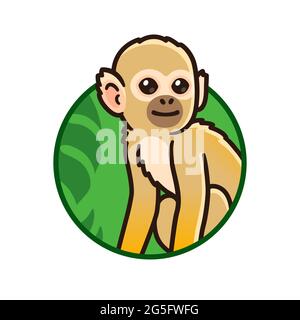 Mignon dessin animé tropical forêt tropicale écureuil singe en cercle logo. Illustration de clip art vectoriel. Illustration de Vecteur