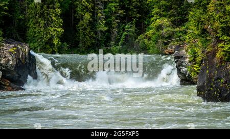 Overlander Falls, sur le fleuve Fraser, dans le parc provincial Mount Robson, dans les Rocheuses canadiennes, en Colombie-Britannique, au Canada Banque D'Images