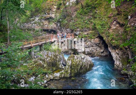 Visiteurs sur le pont au-dessus de la rivière Radovna traversant la gorge de Vintgar près de Bled, Upper Carniola, Slovénie. La gorge est dans la Triglav Nationa Banque D'Images