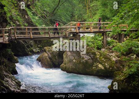 Visiteurs sur le pont au-dessus de la rivière Radovna traversant la gorge de Vintgar près de Bled, Upper Carniola, Slovénie. La gorge est dans la Triglav Nationa Banque D'Images