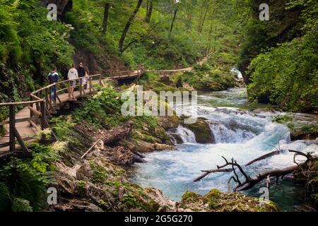 La rivière Radovna traversant la gorge de Vintgar près de Bled, en haute-Carniola, en Slovénie. La gorge se trouve dans le parc national de Triglav. Visiteurs marchant Banque D'Images