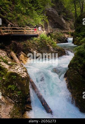 La rivière Radovna traversant la gorge de Vintgar près de Bled, en haute-Carniola, en Slovénie. La gorge se trouve dans le parc national de Triglav. Visiteurs marchant Banque D'Images