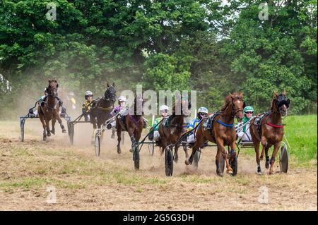 Lissangle, Caheragh, West Cork, Irlande. 27 juin 2021. Il y avait une carte de course de 8 à Lissangle aujourd'hui dans la course suiteuse sur une journée très chaude et ensoleillée. Crédit : AG News/Alay Live News Banque D'Images