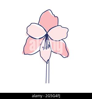 Dessin de ligne continue de belle fleur Orchid Illustration de Vecteur