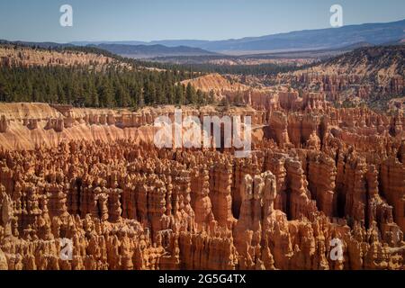 Hoodoos - formations de roches rouges à Bryce Canyon Utah USA qui ressemblent à une armée d'étrangers Banque D'Images