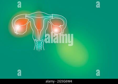 Illustration de l'utérus humain sur fond vert clair. Médical, science ensemble avec les principaux organes humains avec espace de copie vide pour le texte Banque D'Images