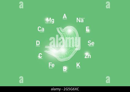 Cadran stylisé avec vitamines essentielles et microéléments pour la santé humaine, estomac dessiné à la main, fond vert clair. Banque D'Images
