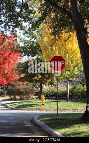 Panneau stop et borne incendie jaune à l'intersection dans le quartier résidentiel avec des arbres d'automne lumineux en arrière-plan Banque D'Images