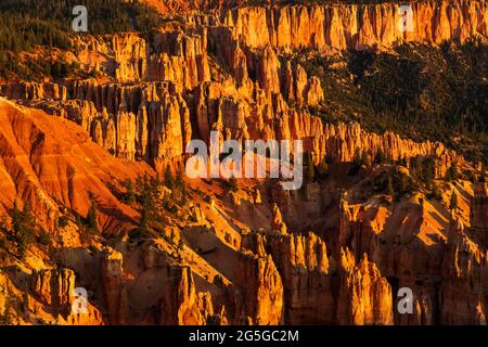 Lever du soleil au-dessus du parc national de Rainbow point Bryce Canyon, Utah Banque D'Images