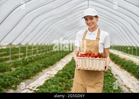 Vue de face d'une belle jeune femme souriante tenant de grandes fraises rouges délicieuses dans les mains et présentant en serre. Concept d'admirer la bonne récolte. Banque D'Images