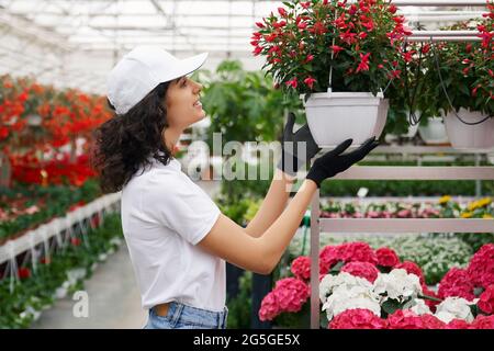 Vue latérale d'une jeune femme souriante avec des cheveux bouclés en casquette blanche et des gants en caoutchouc noir produisant des fleurs en serre. Concept de soin professionnel pour pot avec fleurs rouges. Banque D'Images