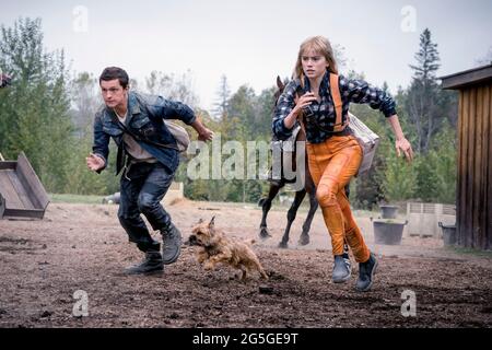 Chaos Walking (2021) réalisé par Doug Liman et mettant en vedette Tom Holland, Mads Mikkelsen et Daisy Ridley. Aventure dystopique dans un monde où il n'y a pas de femmes et toutes les créatures vivantes peuvent entendre les pensées de l'autre. Banque D'Images