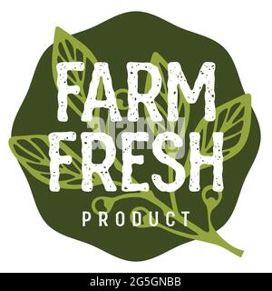 Farm Fresh lettrage. Idée de concept design authentique d'une boucherie ou d'un marché à la ferme Illustration de Vecteur