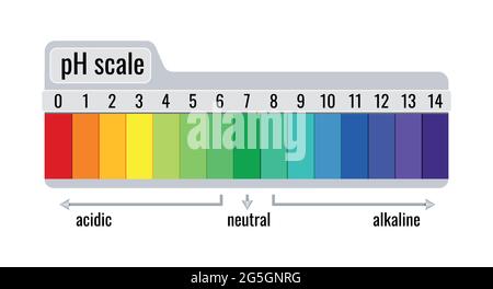 Appareil de mesure à échelle de pH pour solutions acides et alcalines isolées sur fond blanc. Illustration de Vecteur