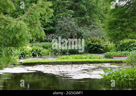 Étang avec plantation luxuriante sur ses côtés, vu dans les jardins de Beth Chatto. Banque D'Images