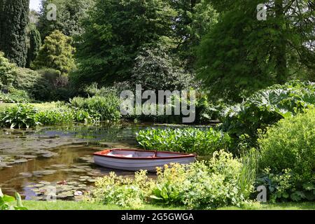 Étang avec plantation luxuriante sur ses côtés, vu dans les jardins de Beth Chatto. Banque D'Images