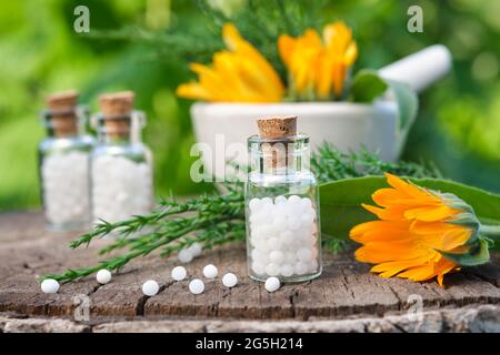 Bouteille de granules d'homéopathie. Remède homéopathique - Calendula. Fleurs de calendula et brindilles de genévrier. Mortier de plantes médicinales et de bouteilles homéopathiques Banque D'Images