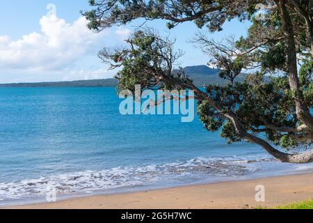 L'île Rangitoto se trouve à un horizon lointain, en face du port, de la plage de St Leonard, sur la rive nord d'Auckland. Banque D'Images