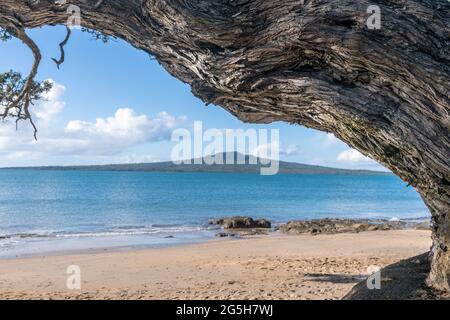 L'île Rangitoto se trouve à un horizon lointain, en face du port, de la plage de St Leonard, sur la rive nord d'Auckland. Banque D'Images