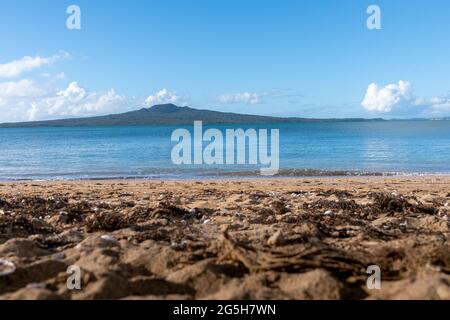 L'île Rangitoto se trouve à un horizon lointain, en face du port de Cheltenham Beach Banque D'Images