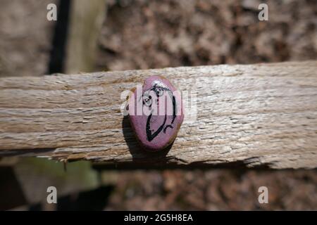 Hibou artistique peint sur le rocher rose de bonté Banque D'Images