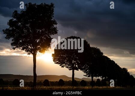 Niedernjesa, Allemagne. 28 juin 2021. Le soleil brille tôt le matin derrière une avenue et des nuages sombres. Credit: Swen Pförtner/dpa/Alay Live News Banque D'Images