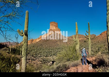 Randonnée dans les montagnes de Superstition sur le sentier de l'Arizona, Arizona, U.S.A Banque D'Images