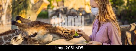 BANNIÈRE, LONG FORMAT bonne jeune femme regardant et nourrissant girafe dans le zoo portant un masque médical pendant le coronavirus COVID-19. Bonne jeune femme ayant Banque D'Images