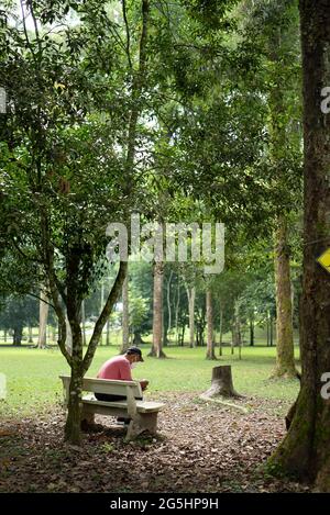 Homme asiatique senior portant un masque facial et assis dans un parc Banque D'Images