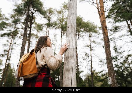 Randonneur femelle debout près d'un arbre en forêt Banque D'Images