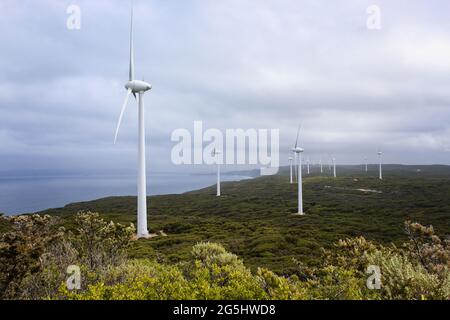 Vue sur le paysage des éoliennes géantes à Albany Wind Farm, Australie occidentale. Banque D'Images