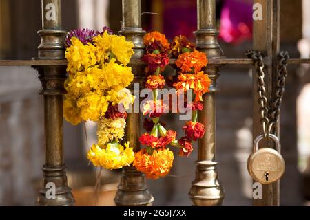 Adorez les guirlandes de fleurs Banque D'Images