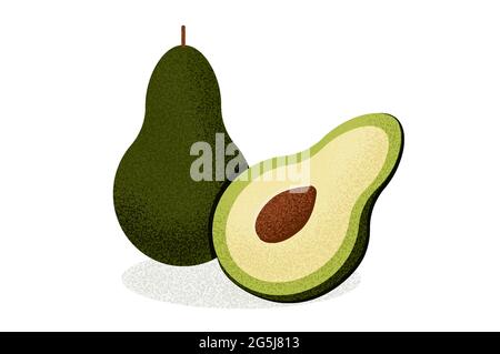 Avocat coupé et entier. Un mode de vie sain. Illustration de Vecteur