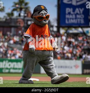 Juin 27 2021 San Francisco CA, États-Unis Lou Seal avant le match de la MLB entre les Oakland Athletics et les San Francisco Giants à Oracle Park San Francisco Calif. Thurman James / CSM Banque D'Images