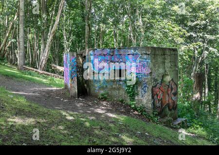 Un graffiti abandonné couvrait la guerre mondiale deux pilbox dans les bois près de Sandgate, dans le Kent. Banque D'Images