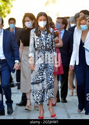 Madrid, Espagne. 28 juin 2021. La Reine Letizia espagnole lors du Sommet de la cécité des loups Madrid 2021 à Madrid le lundi 28 juin 2021. Credit: CORMON PRESSE/Alamy Live News Banque D'Images