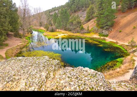 Monument naturel de la Fuentona, la Fuentona de Muriel, zone naturelle protégée, rivière Abion, Cabrejas del Pinar, Soria, Castille et Leon, Espagne, Europe Banque D'Images