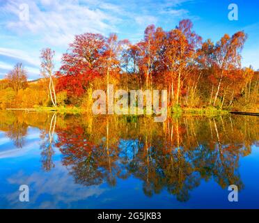 Royaume-Uni, Écosse, Perthshire, réflexion dans le lac de pêche, automne, Banque D'Images