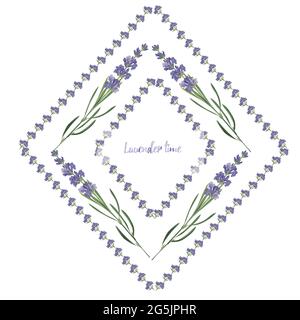 Ensemble violet Lavender magnifique modèle de cadres floraux en style aquarelle vectoriel isolé sur fond blanc pour le design décoratif, carte de mariage Illustration de Vecteur