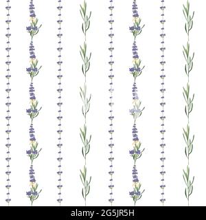 Motif sans couture avec violet Lavender magnifique modèle de fleur en style aquarelle vectoriel isolé sur fond blanc pour carte de mariage, invitation Illustration de Vecteur