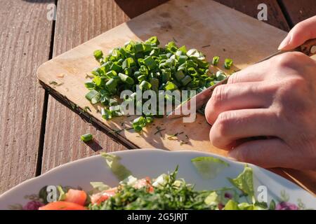 Une fille coupe l'oignon sur une planche en bois. Assiette de légumes. Cuisiner dans la nature. Banque D'Images