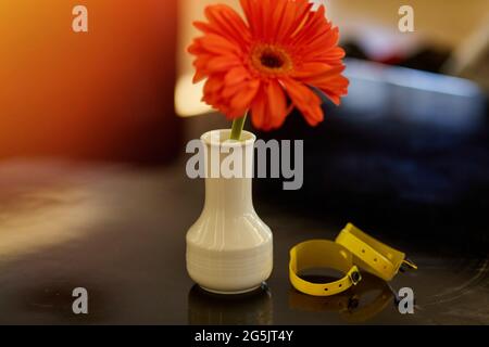 Hôtel de villégiature tout compris bracelet imperméable et fleur gerbera. Concept de vacances. Copier l'espace. Photo de haute qualité Banque D'Images