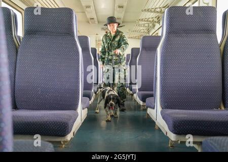 Harbin, Chine. 28 juin 2021. Les chiens de police suivent des formations à la base de formation de Harbin, Heilongjiang, Chine, le 28 juin 2021.(photo de TPG/cnschotos) Credit: TopPhoto/Alay Live News Banque D'Images