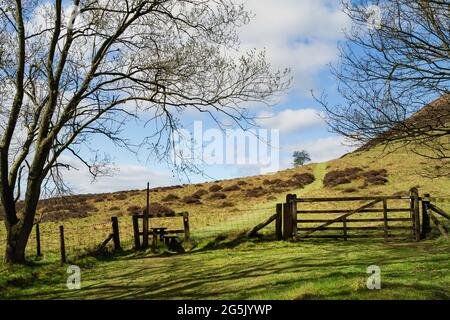 Sentier de randonnée avec la calotte de la rampe et la porte flanquée d'arbres sous les nuages et ciel bleu vif dans les landes de North York près de Goathland, Yorkshire, Royaume-Uni. Banque D'Images