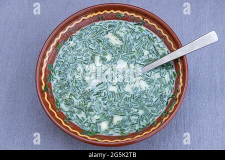 Okroshka. Soupe traditionnelle russe d'été à salade verte froide avec concombre, oignon et herbes. Vue de dessus. Banque D'Images