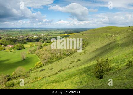 Vue sur la colline de Hambledon et la campagne du Dorset, Iwerne Courtney (Shroton), près de Blandford Forum, Dorset, Angleterre, Royaume-Uni, Europe Banque D'Images