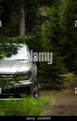 Voiture de catégorie SUV moderne dans une forêt de conifères verdoyantes Banque D'Images