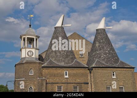 Vue sur les maisons traditionnelles d'oast converties par le canal de la rivière Lee au Three Mills film Studio à Bow, est de Londres, Angleterre, Royaume-Uni Banque D'Images