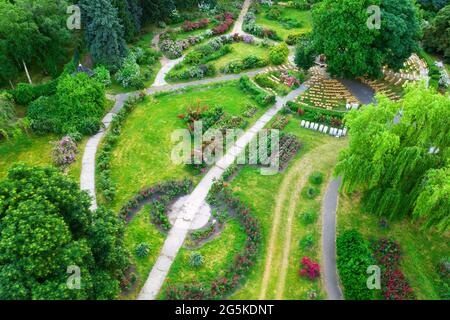 Jardin avec roses dans le parc, vue aérienne. Banque D'Images